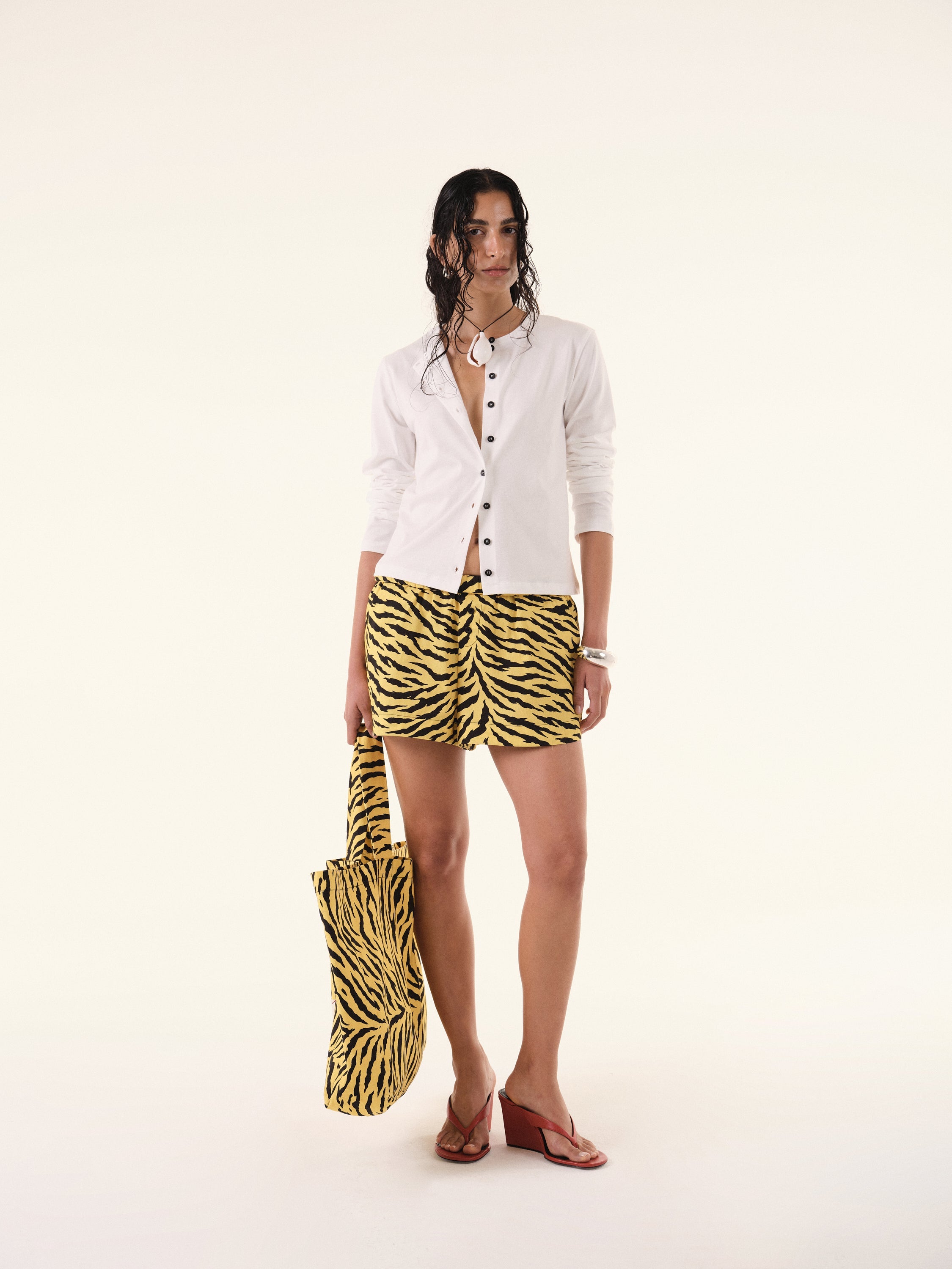 Zebra Bag