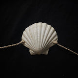 Shell Belt